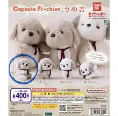 カプセルフロッキー うめ吉 ベージュ抱き
