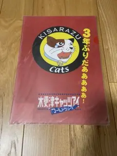 木更津キャッツアイ　クリアファイル