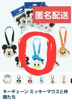 東京ディズニーリゾート ドナルド キーチェーンのサムネイル