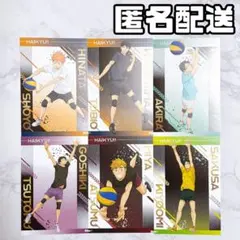 ハイキュー ユース 疑似ユース 合宿フェア 特典 ポストカード まとめ売り