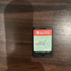 どうぶつの森 Nintendo Switch ソフト
