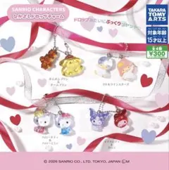なかよしドロップチャーム　サンリオ　ガチャ　コンプ