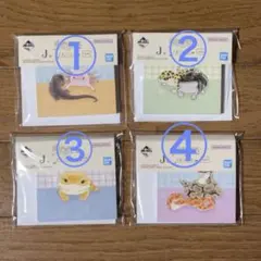 一番くじ 爬虫類 メモパッド レオパ ボールパイソン フトアゴ J賞