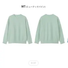 【美品】ノースフェイスTHE NORTH FACE ラリーオンロッククルー