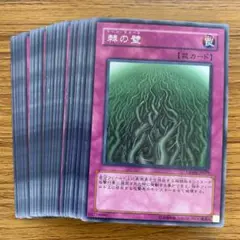 棘の壁　字レア30枚