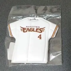 楽天イーグルス 中日ドラゴンズ 阿部寿樹選手 実使用 ユニフォームパンツ 2025年最新】阿部寿樹 ユニフォームの人気アイテム - メルカリ