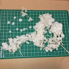 ホワイト アジサイ プリザーブドフラワー 花材　アナベル　漂白加工
