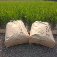 トト 白米27kg 新米 17000円 トト様専用 白米27kg 新米 17000円 - メルカリ
