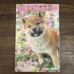 Item thumbnail for item 40b58d3f-6004-4887-bcda-bf455b40a5c8