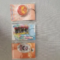アルビレックス新潟反射ストラップ 3点セット