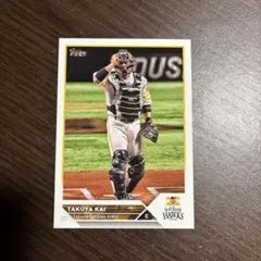 Item thumbnail for item 9c18933f-7e95-4d99-ad0e-c1c2d33d52e6