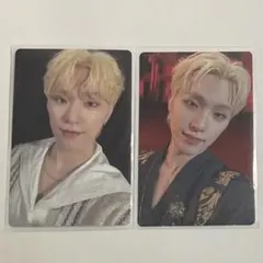 SEVENTEEN ディノ トレカ