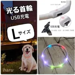 Item thumbnail for item 2819ccb4-0a72-454a-8f35-25c78ce5e18b