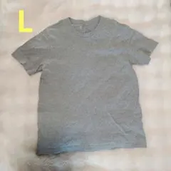BODY WILD ボディワイルド 半袖 Tシャツ グレー Lのサムネイル
