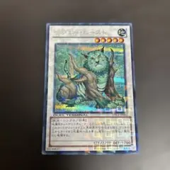 2025年最新】ナチュルビースト シークレットの人気アイテム