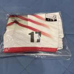 豊田合成トレフェルサ バレーボール ユニフォームパンツ 写真ギャラリー | 豊田合成トレフェルサ