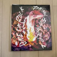 ワンオク プライマルフットマーク カードあり