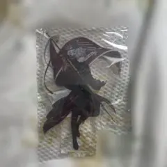 うたプリ タブナイ キャラバン アクリルスタンド 黒崎蘭丸