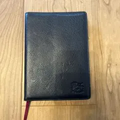 Item thumbnail for item 4be2522b-9198-4e2d-a97f-274efdb09ecd