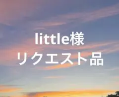 little様 リクエスト 2点 まとめ商品