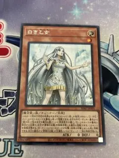 2026年最新】白き乙女 25thシークレットの人気アイテム - メルカリ