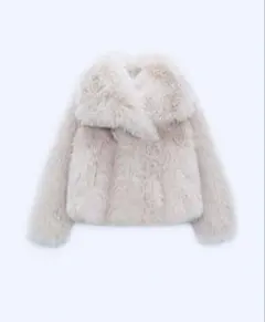 2025年最新】ZARA フェイクファー zwの人気アイテム - メルカリ