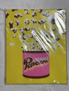 嵐 ARASHI LIVE TOUR パンフレット Popcorn