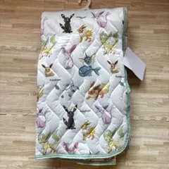 ポケモン 冷感敷パッド シングルサイズ　イーブイ　ブラッキーのサムネイル