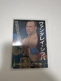 2026年最新】ヴァンダレイの人気アイテム - メルカリ