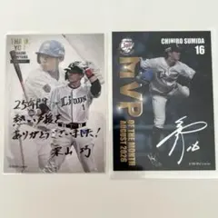 ライオンズ　グルメカード　隅田知一郎選手　栗山巧選手　2枚セット　匿名配送