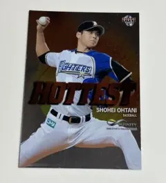 【新品未使用】貴重✨プロ野球ai 2014年9月 大谷翔平 鈴木 菅野 大瀬良 メルカリ
