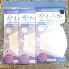 ❗️未開封❗️やわらかマスク 大人用 抗菌加工3枚セット