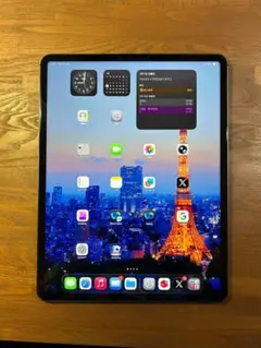 え*ん様 iPad Pro 12.9 第５世代 128GB SIMフリー 電池9