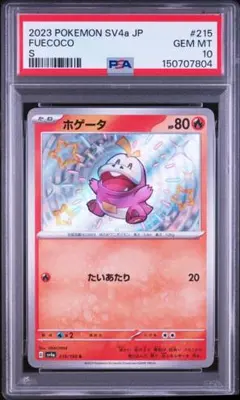2026年最新】ホゲータ Sの人気アイテム - メルカリ