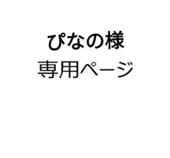 ぴなの様 リクエスト 2点 まとめ商品