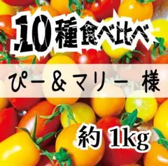 【ソムリエトマト】ぴー＆マリー様専用