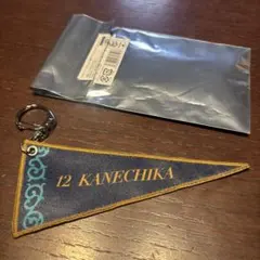 千葉ジェッツ✳︎15THシークレットペナントキーホルダー✳︎12 金近廉