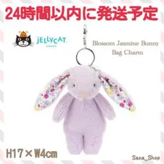 廃盤 新品 ジェリーキャット バニー うさぎ キーホルダー チャーム