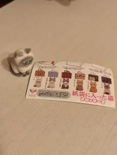 紙袋に入った猫 フロッキー2 シャム