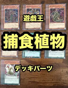 遊戯王　捕食植物　プレデター・プランツ　デッキパーツ