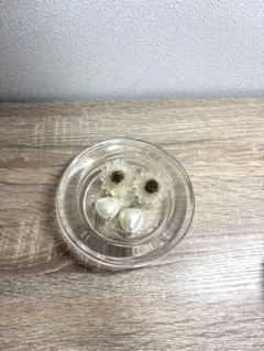 フラワー&パールイヤリング