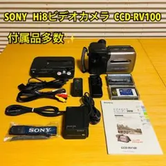 シャープVL- EL420【動作確認済】Video8　デオカメラ　ダビングに最適 シャープVL- EL420【動作確認済】Video8 デオカメラ ダビングに最適