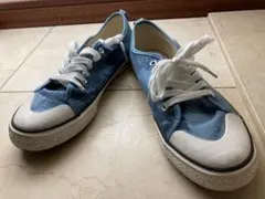 Item thumbnail for item 81933c8d-078b-4390-a649-618c0c75ab06