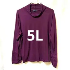 【美品】袖プリーツ 切替カットソー 5L ワイン系 大きいサイズ ゆったり