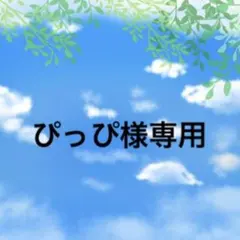 ぴっぴ様専用ページ