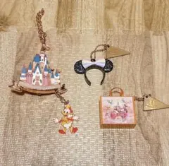 上海ディズニー10周年記念グッズ キーチェーン キーホルダー - メルカリ