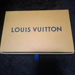 LOUIS VUITTON 箱・布製保護袋付き
