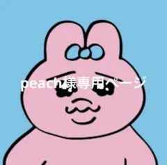 peach様専用ページ