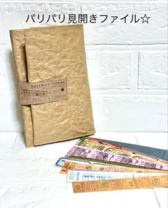 おすそ分けファイル　コラージュ素材収納　クラフトポーチ　ファイル　チケット