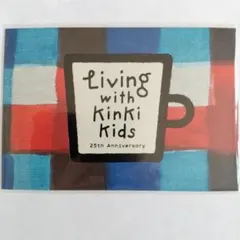 KinKi Kids DOMOTO ポストカード チェック柄 堂本剛 堂本光一